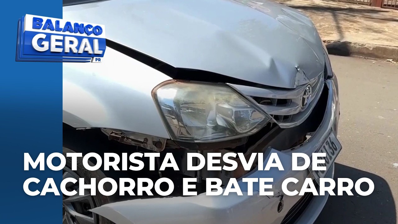 Motorista freia para não atropelar cachorro na pista e acaba sendo atingido por outro veículo
