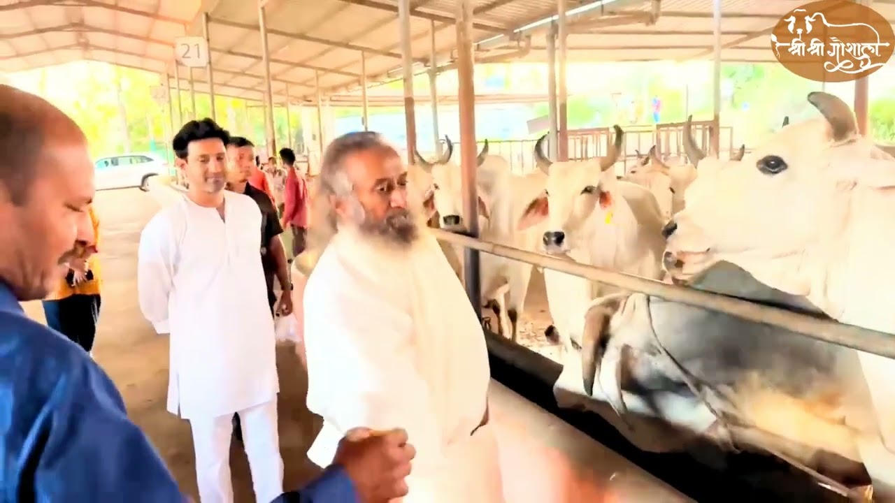 Gurudev Sri Sri Ravishankar with Vikrant Massey at Sri Sri Gaushala