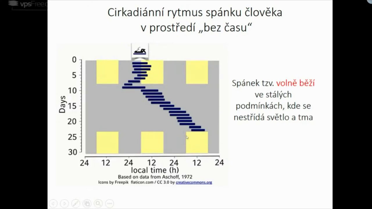Zdeňka Bendov&aacute; - Biorytmy a světlo v noci (P&aacute;tečn&iacute;ci - Stream 5.3.2021)