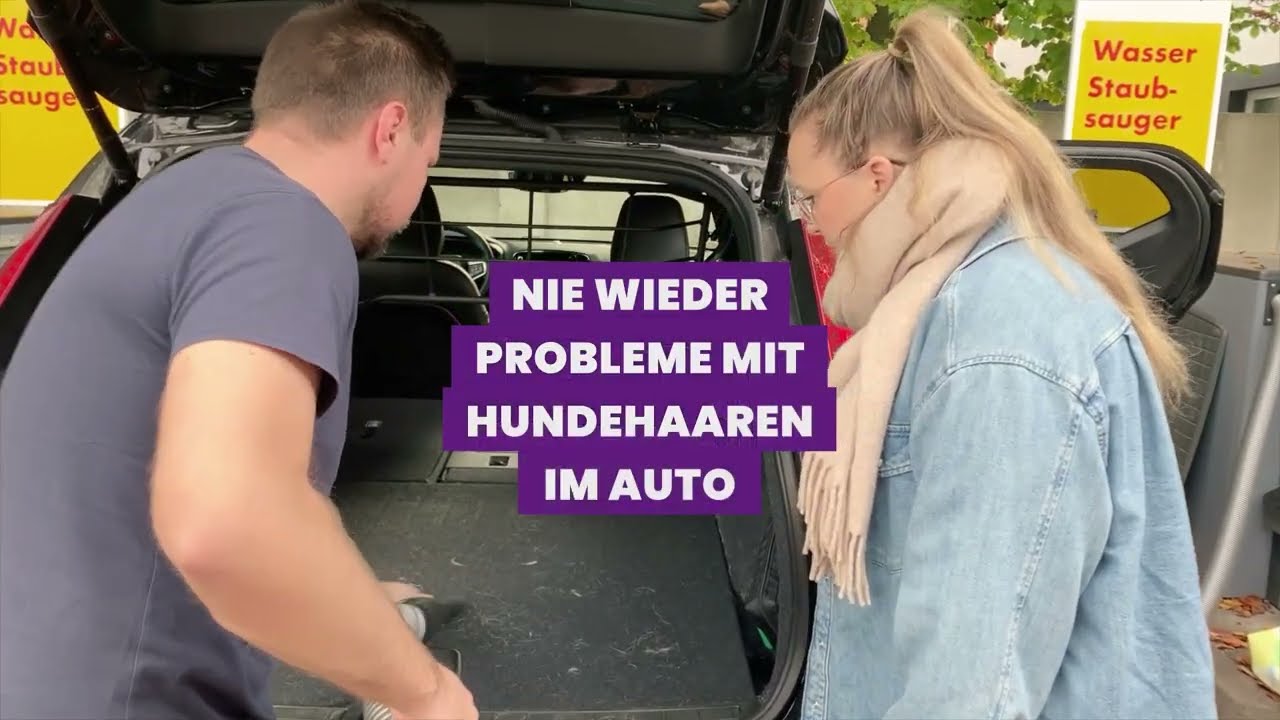 Auto reinigen: FurViking im Einsatz.