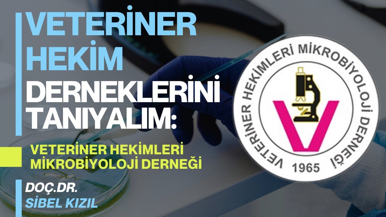 Veteriner Hekim Dernekleri: Veteriner Hekimleri Mikrobiyoloji Derneği | Doç. Dr. Sibel Kızıl