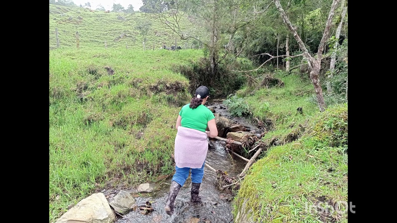 GANGA...GANGAZO. DOS FINCAS EN SASAIMA POR UN MISMO PRECIO. Ref. CGFS-20260004. 150 MILLONES.