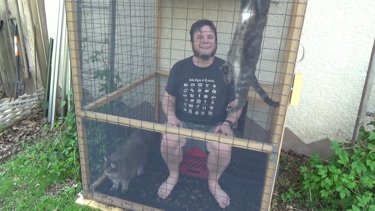 Building A DIY Outdoor Catio (Cat Patio)