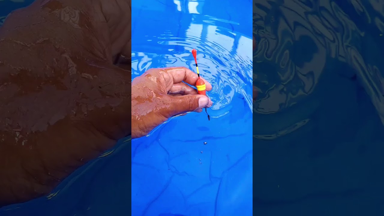 Pose bzw Schwimmer richtig ausbleien #angeln #posenangeln #karpfenangeln #barschangeln