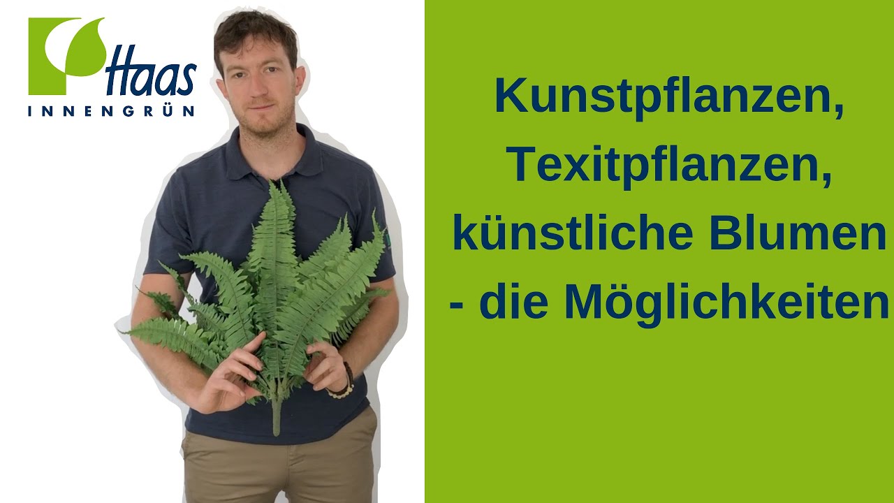 Kunstpflanzen, Kunstblumen, k&uuml;nstliche Pflanzen & Blumen: Was gibt es f&uuml;r M&ouml;glichkeiten?