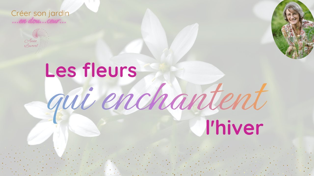 🪻Les fleurs qui enchantent l' hiver