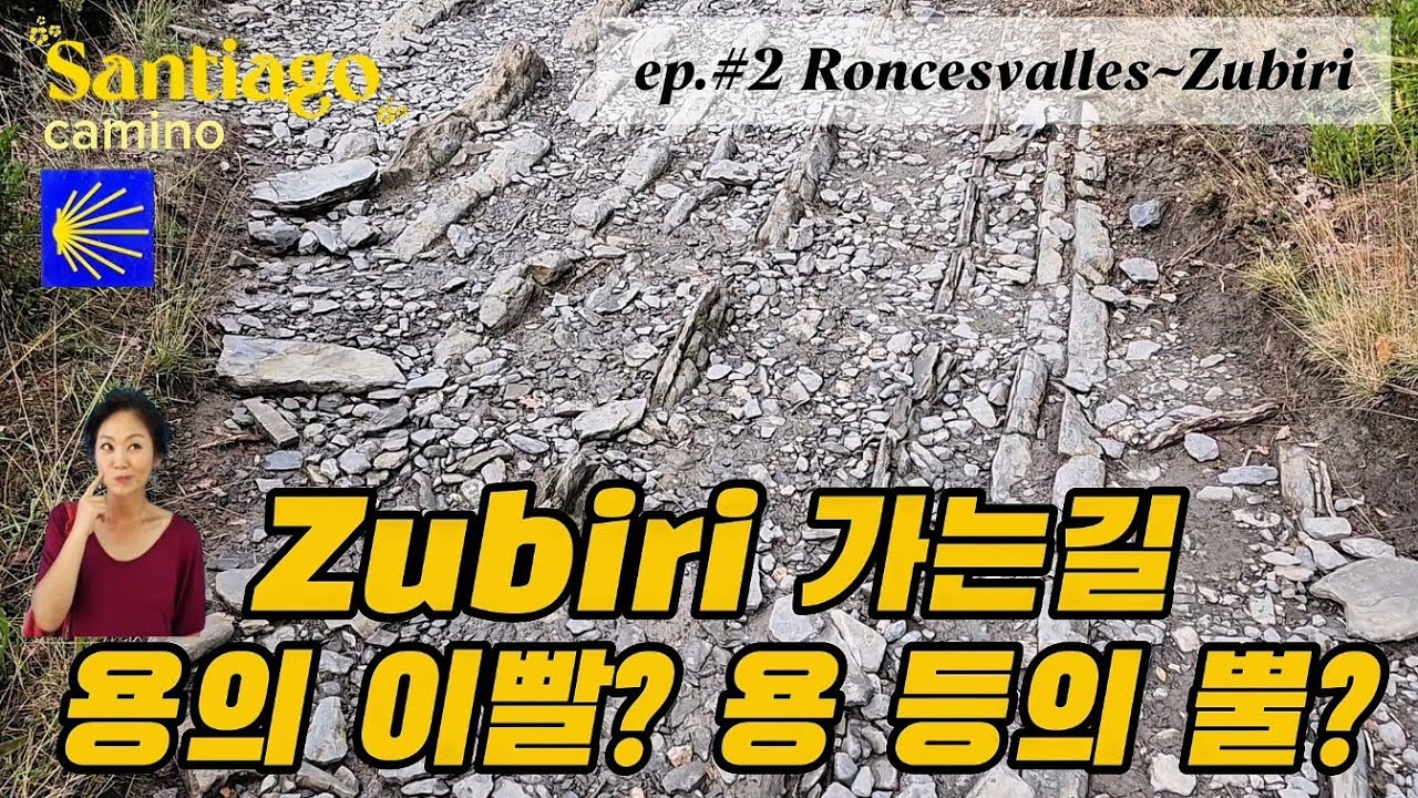 50대 나홀로 순례길 Ep.3 🇪🇸론세스바예스 - 수비리 / 산길에 Dragon's teeth? Dragon's back? / 블루베리인줄 알고 따먹은 사람 여기🖐
