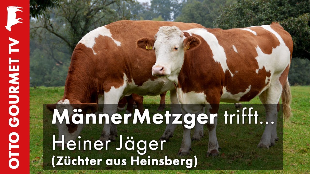 Simmentaler-Rind im MännerMetzger
