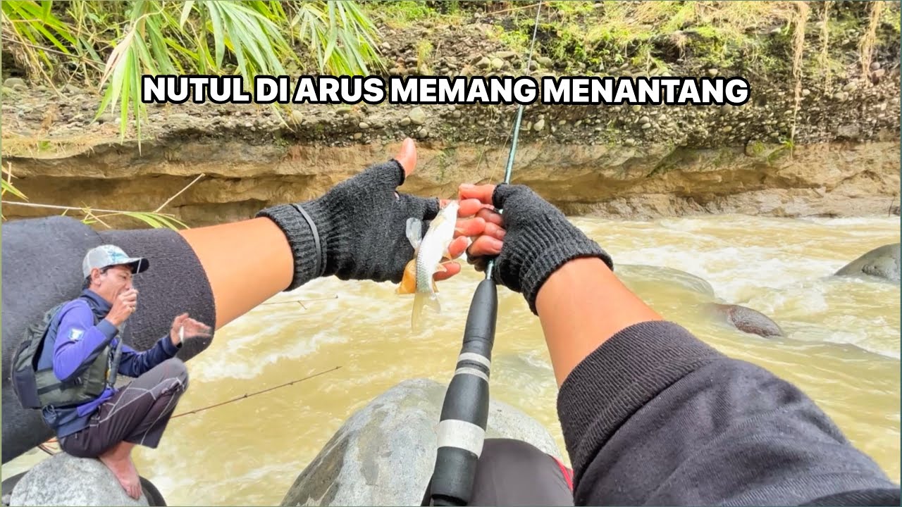 MICRO FISHING DI ARUS LEBIH MENANTANG!! Mancing Nilem Dengan Teknik Nutul Menggunakan Tegek Micro