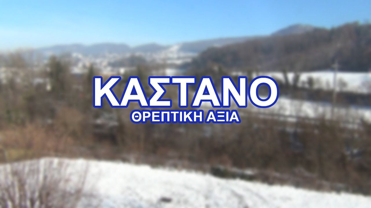 Κάστανο - Θρεπτικό και νόστιμο!