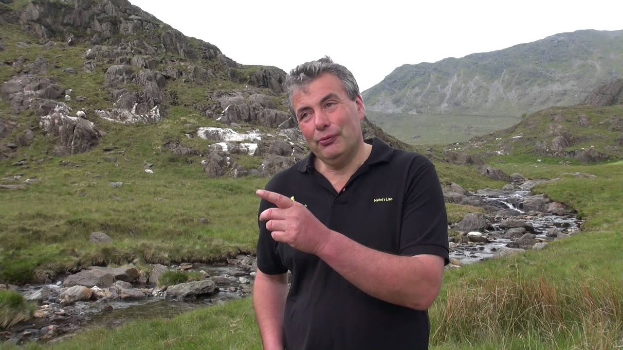 Bugeiliaid Hafod y Llan