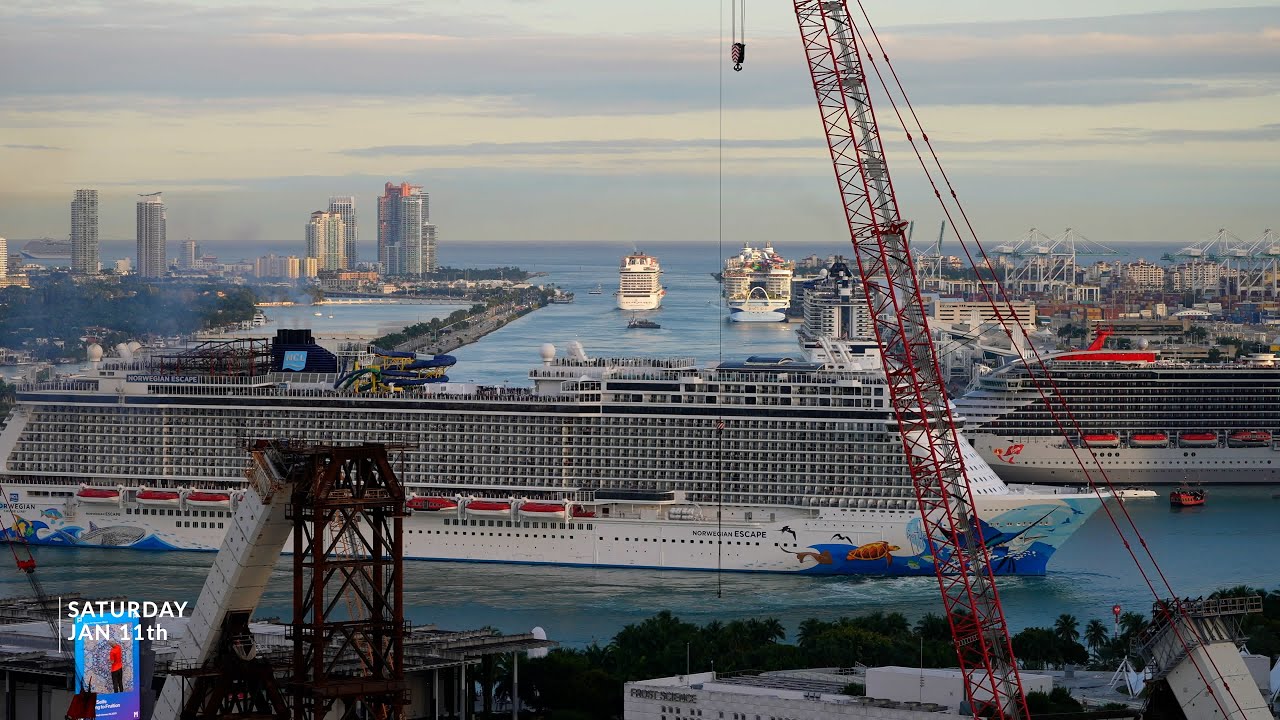 Busiest Day so far - 8 Ships in Port - LIVE Replay