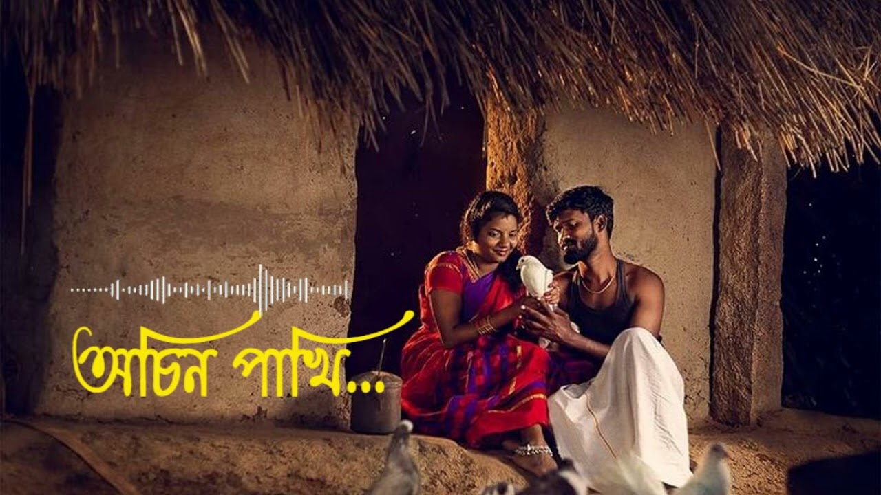 অচিন পাখি 🥀 | Bangla Folk Song | lofi gaan | Arvan | emotional bangla song