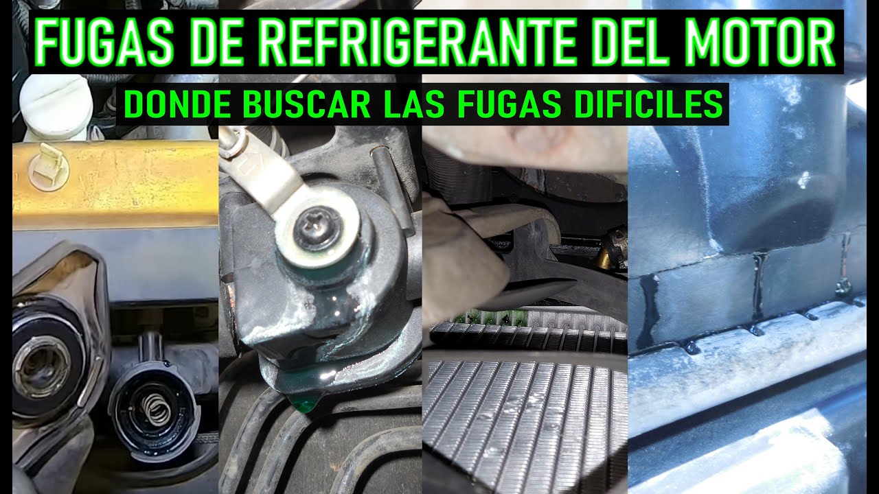 Como saber de donde vienen las fugas de agua en el auto (todas las opciones)