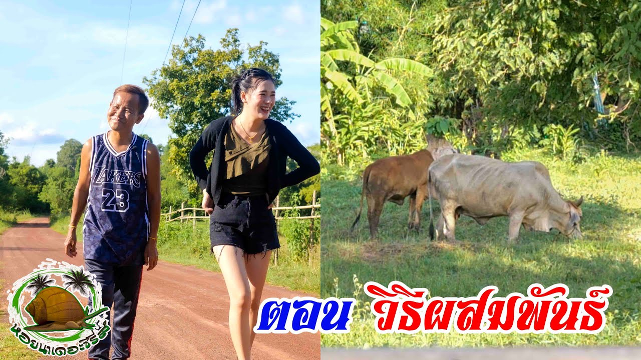 ตอน วิธีผสมพันธ์#ตลกสั้นพี่อ้ายน้องเมีย#นิทานก้อม#สายัณห์ วันรุ่ง