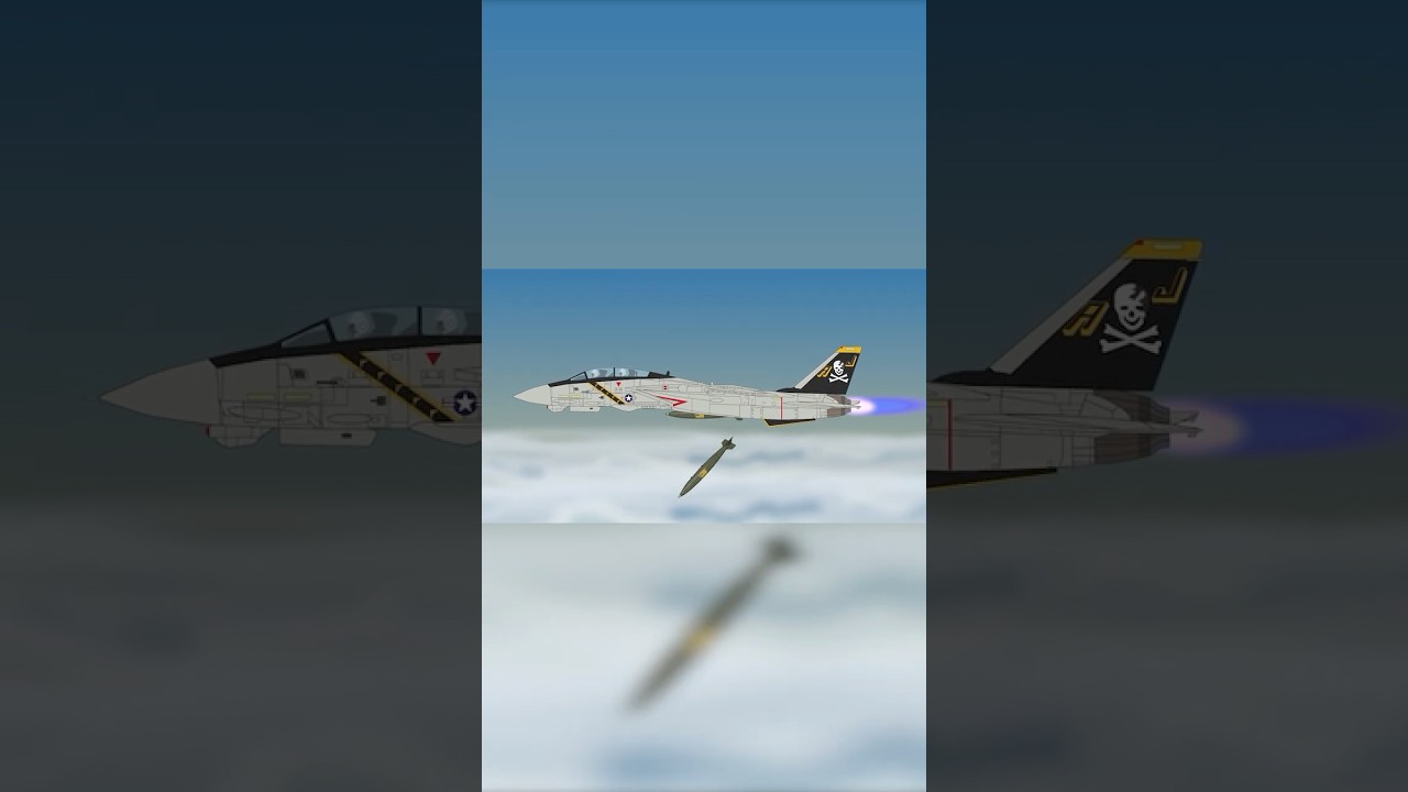Истребитель F-14 Tomcat был основным американским истребителем завоевания превосходства в воздухе.