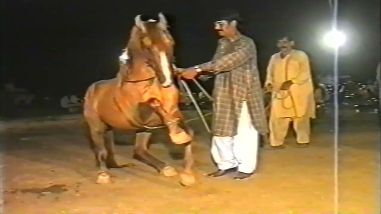 Pharwal saru khan 