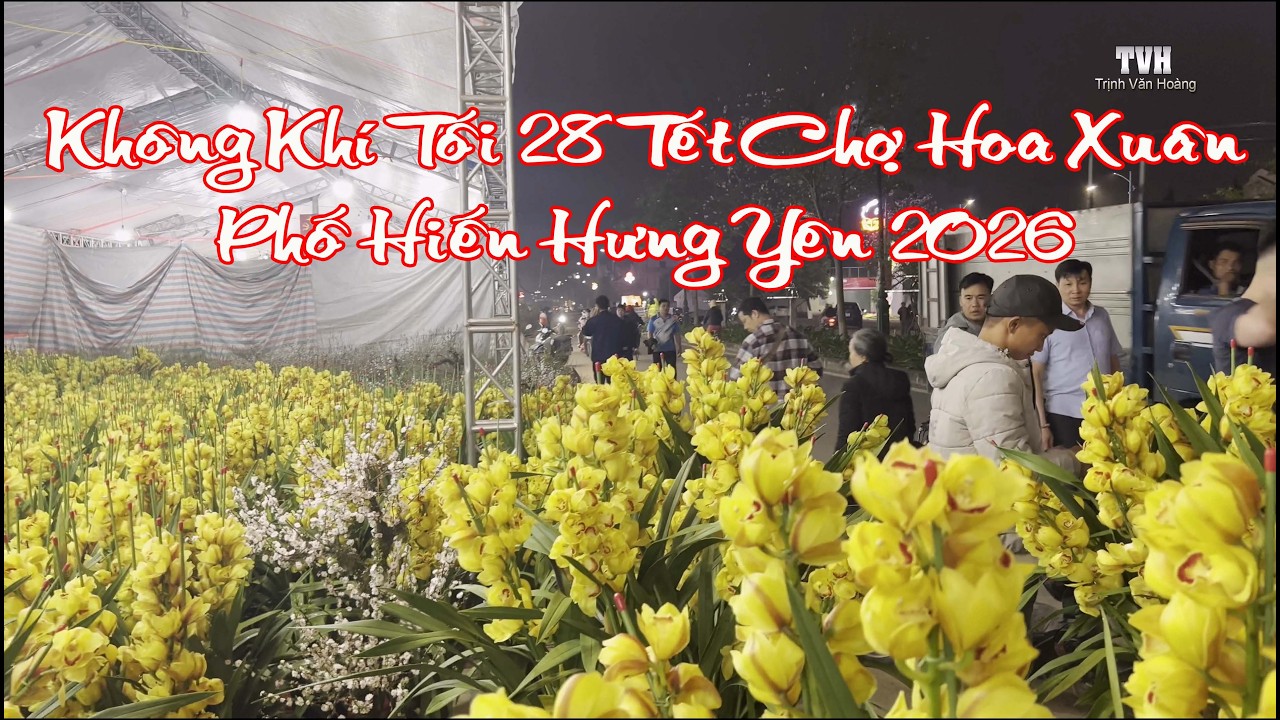 Không khí mua sắm tối ngày 28 tết 2026 chợ hoa xuân Phố Hiến Hưng Yên #hoaxuan #tetcotruyen #phohien