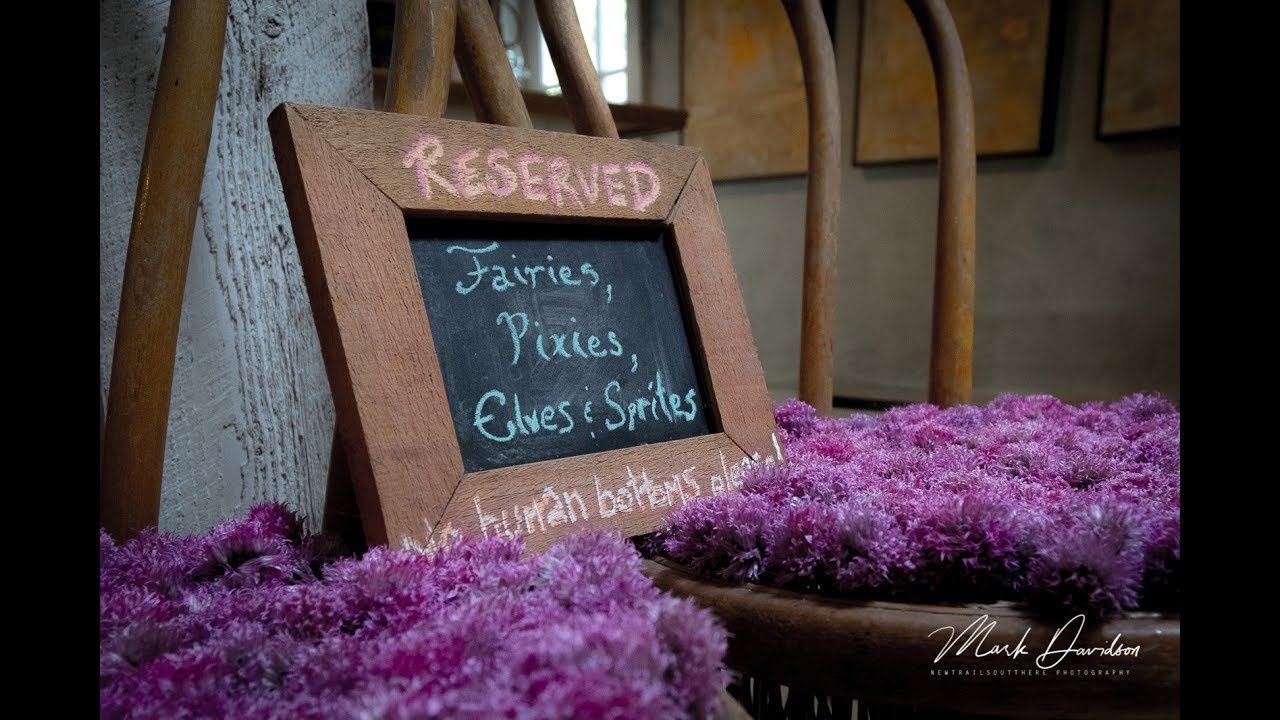 Tangled Garden 2019