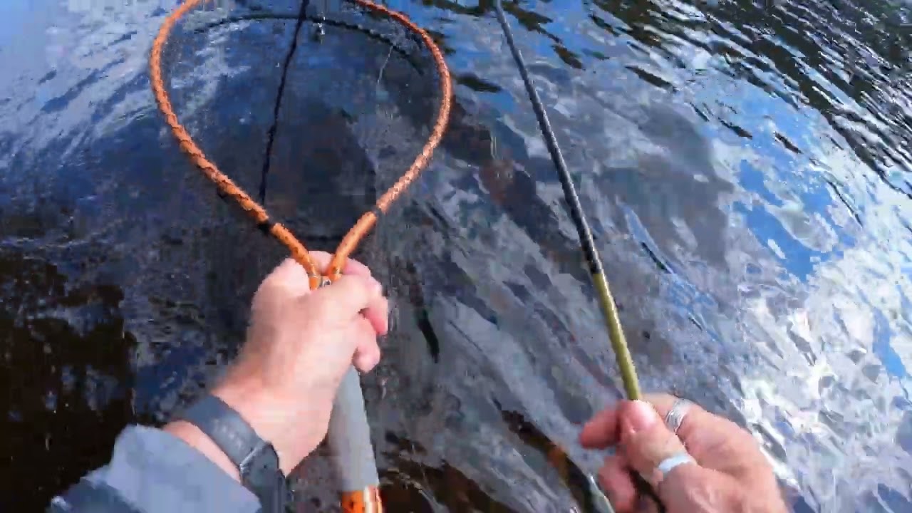 Flugfiske i Älvdalen juni 2023 del 3. #flugfiske #flyfishing