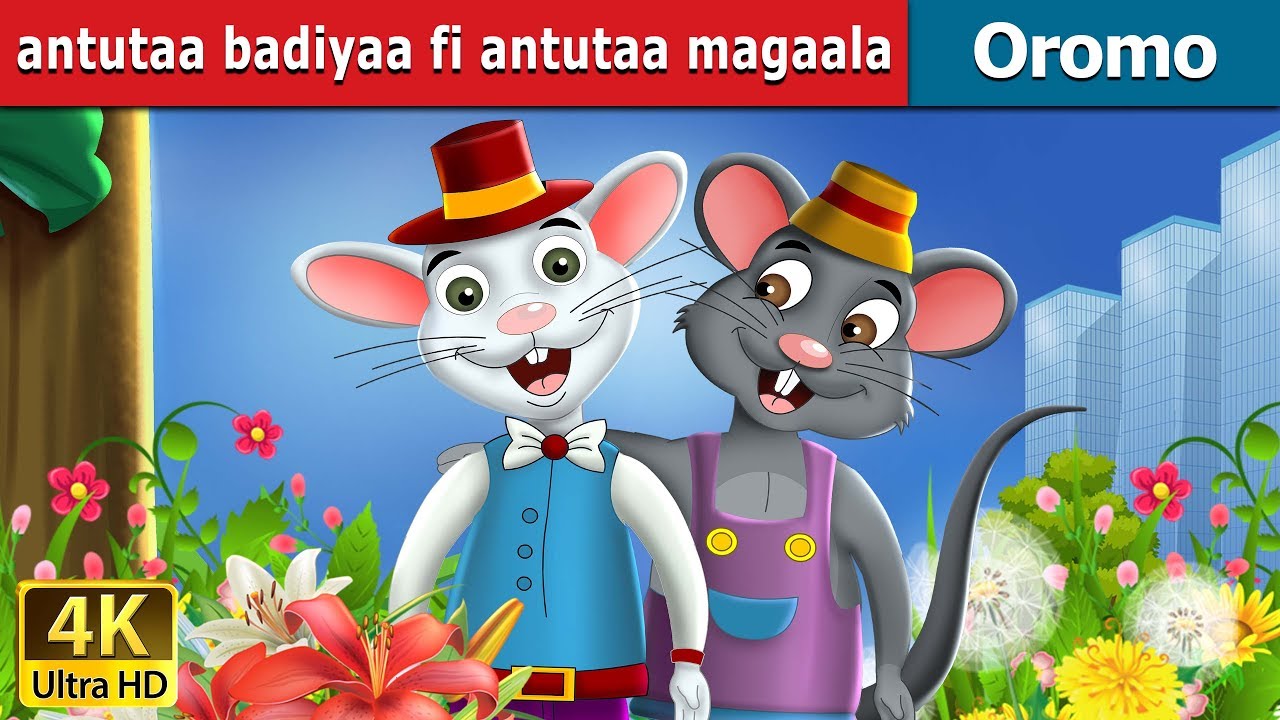 antutaa badiyaa fi antutaa magaala | Town Mouse and Country Mouse Story in Oromo | Oromo Fairy Tales