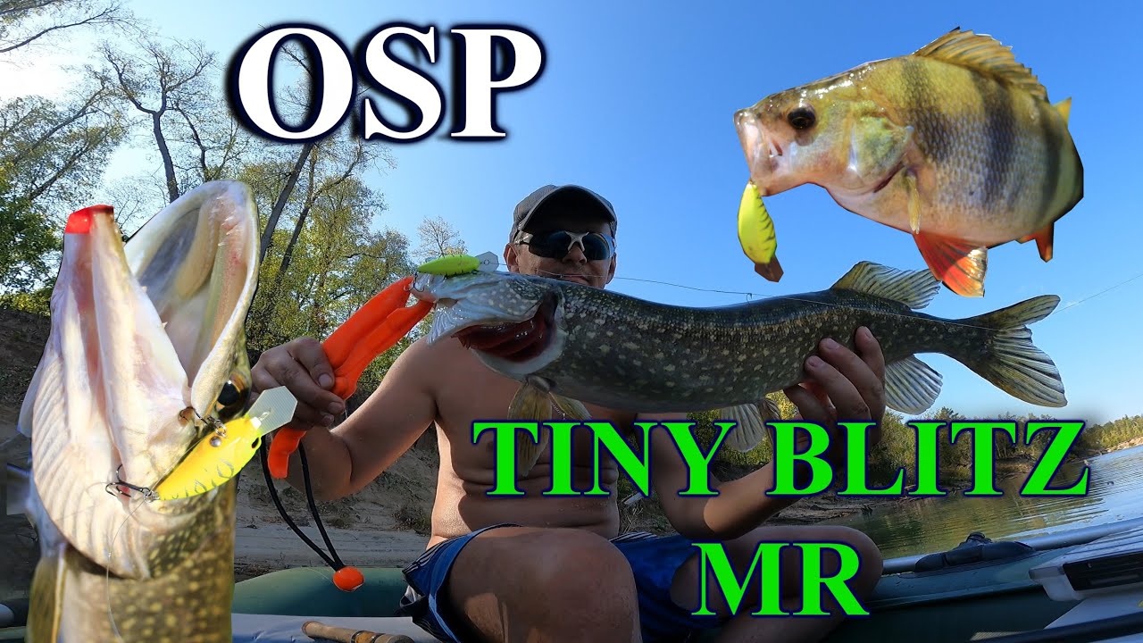 Крупный окунь и щука на OSP Tiny Blitz MR