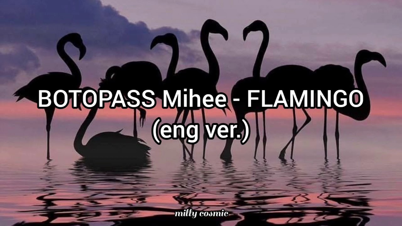 BOTOPASS Mihee - Flamingo (eng ver.) (tradu&ccedil;&atilde;o)