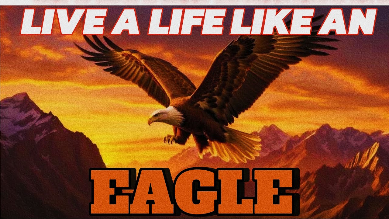 I 6 Powerful Life Lessons We Can Learn from the Eagle | Success, Focus, and Fearlessness I