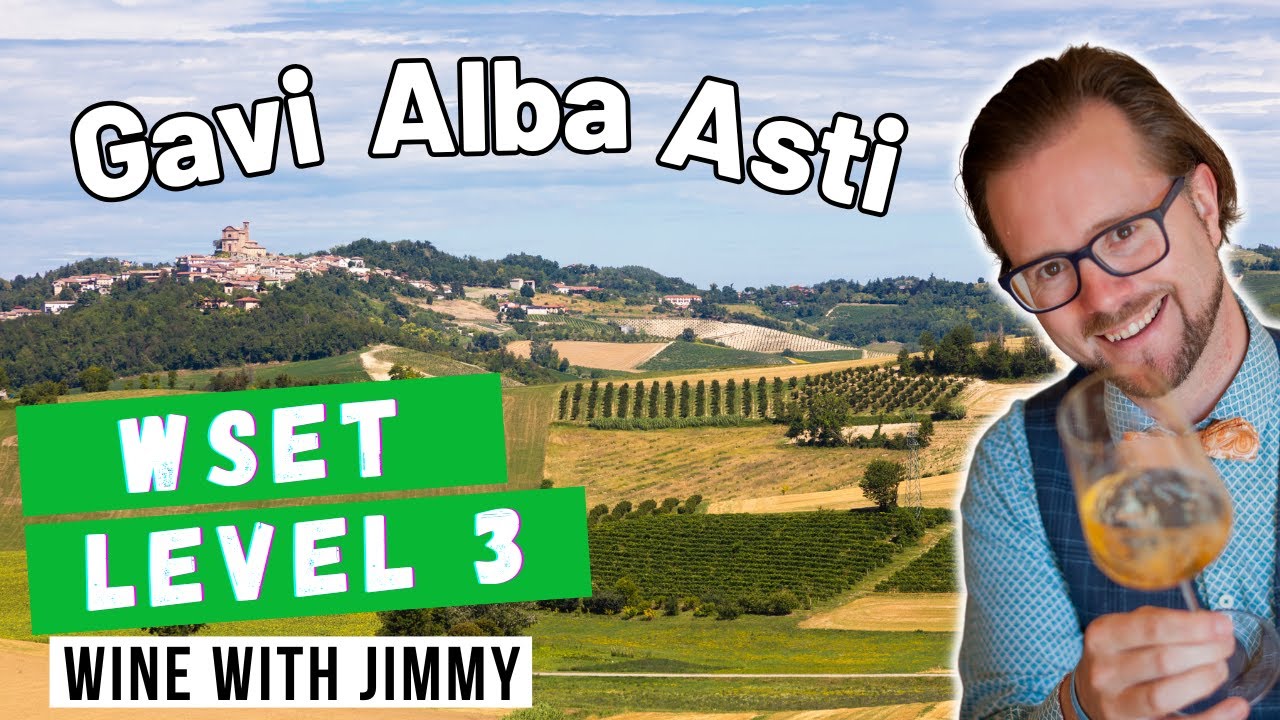 Piemonte Wines Explained 🍷 | Gavi, Asti & Alba for WSET Level 3