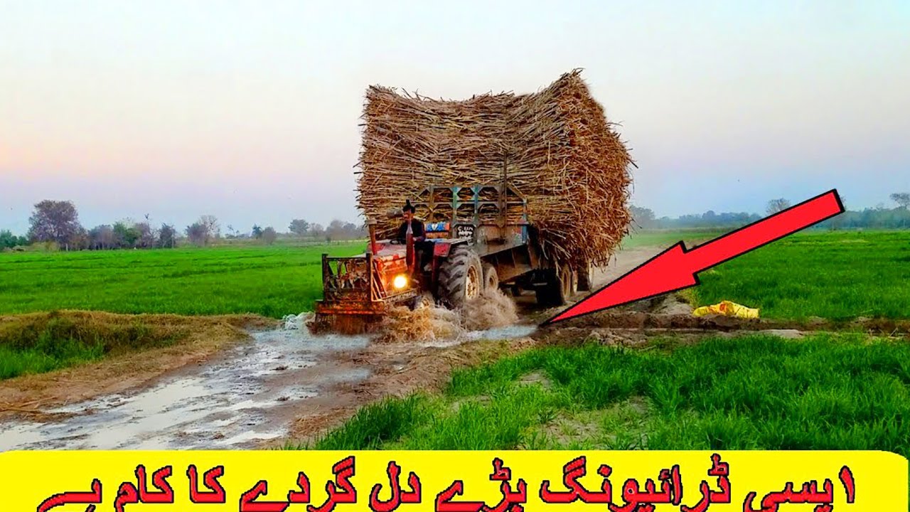 Such a Shocking Tractor Stunt ! Fiat 640 Tractor Pulling Load Trolley On Very Difficult Way