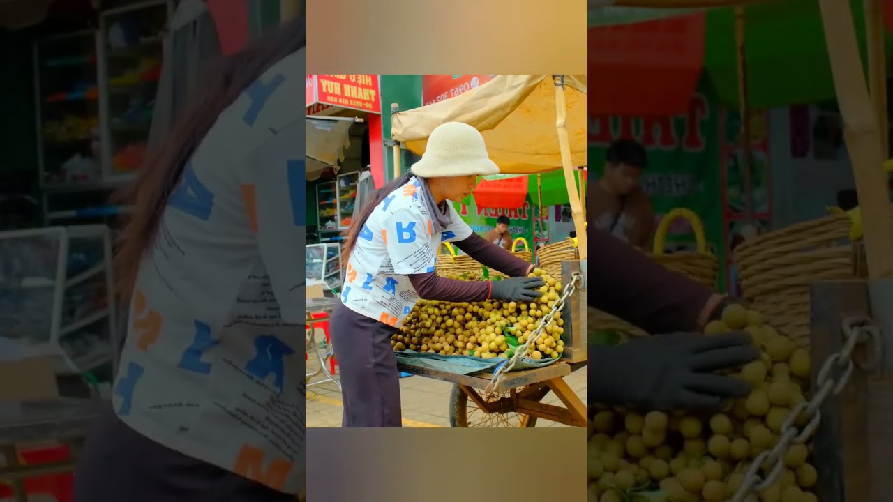 Harvest Ripe Longan Goes To Market Sell | Khuong Bushcraft #harvest #bushcraft #longan
