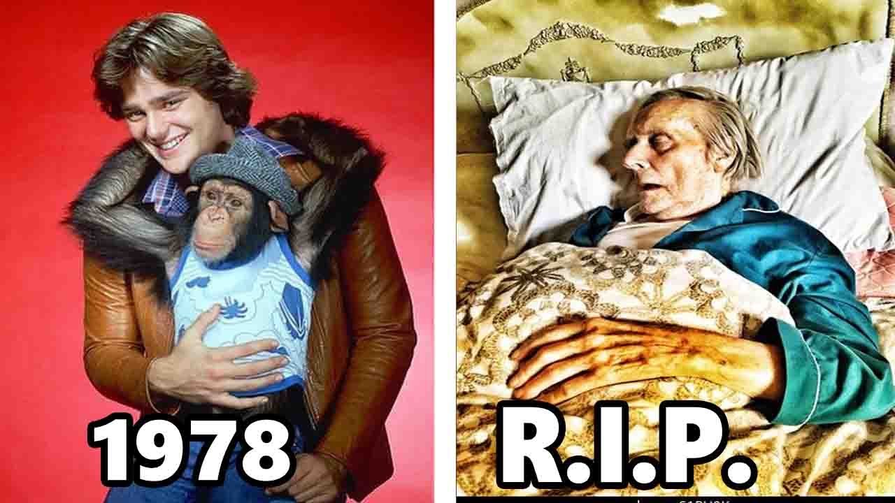 Б. ДЖЕЙ И МЕДВЕДЬ 1978 Актерский состав тогда и сейчас 2023. Все актеры трагически погибли!
