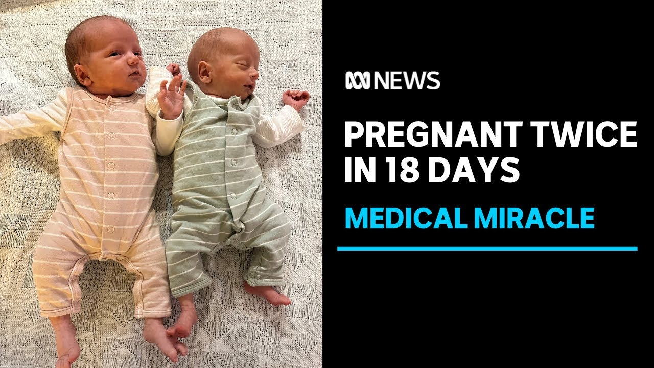 Pregnant twice, weeks apart, with babies with different due dates | ABC News
