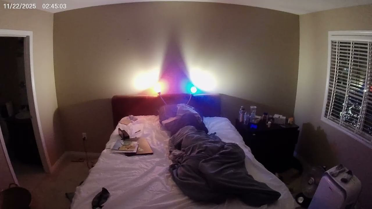 2025 11/22 02:36 - 04:57