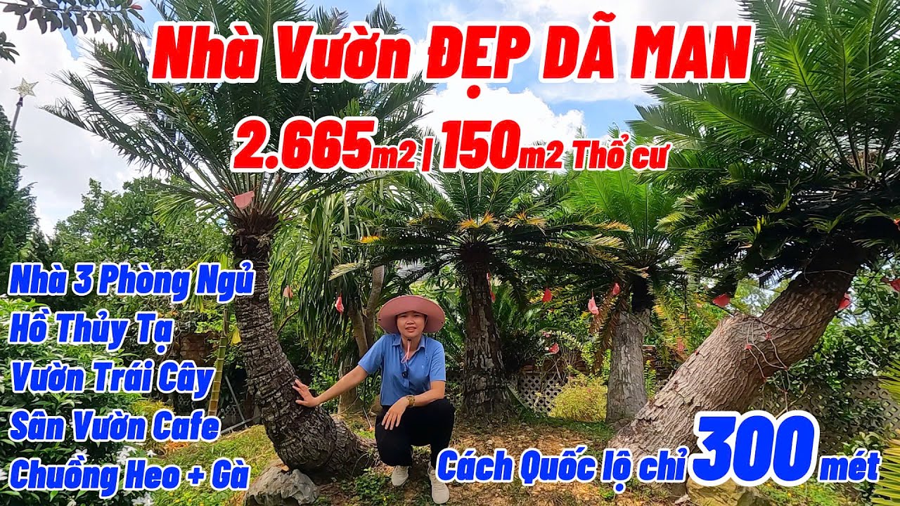 Chị Nhi Bán Nhà Vườn Cực Kỳ Tâm Huyết Đầu Tư Mọi Ngóc Ngách | NHÀ ĐẤT ĐỒNG NAI GIÁ RẺ