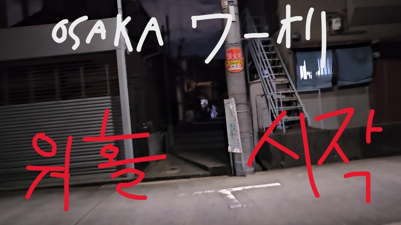[일본워홀/일상] 2년 전 영상을 누가 보냐
