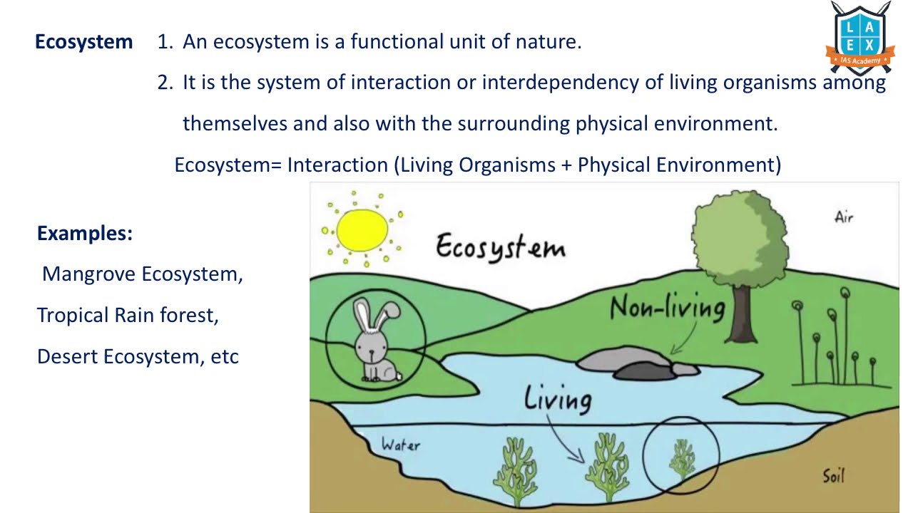 What is Ecosystem?  || Ecosystem అంటే ఏమిటి? || La Excellence