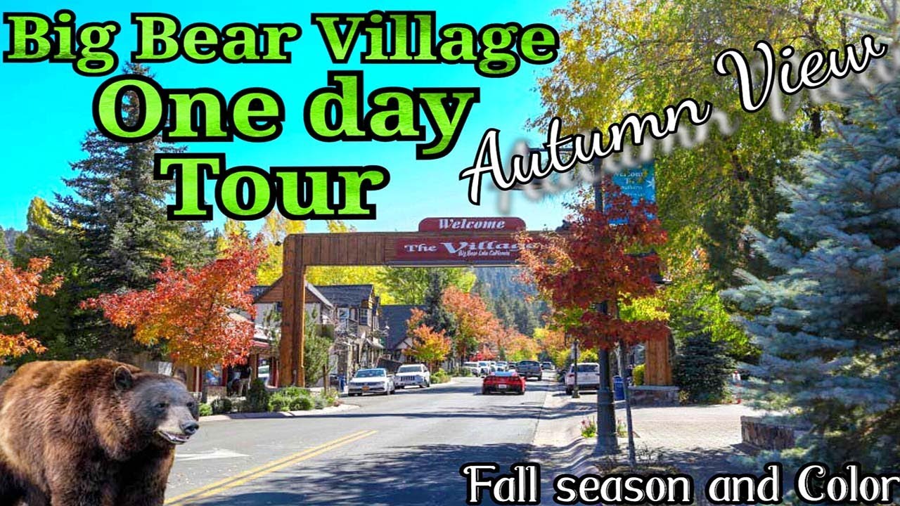 Fall Color In Big Bear City | Fall Leaves in Southern California | One Day tour | Big Bear Lake