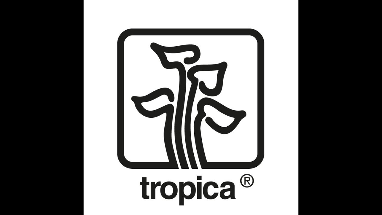 Tropica  akwarium.