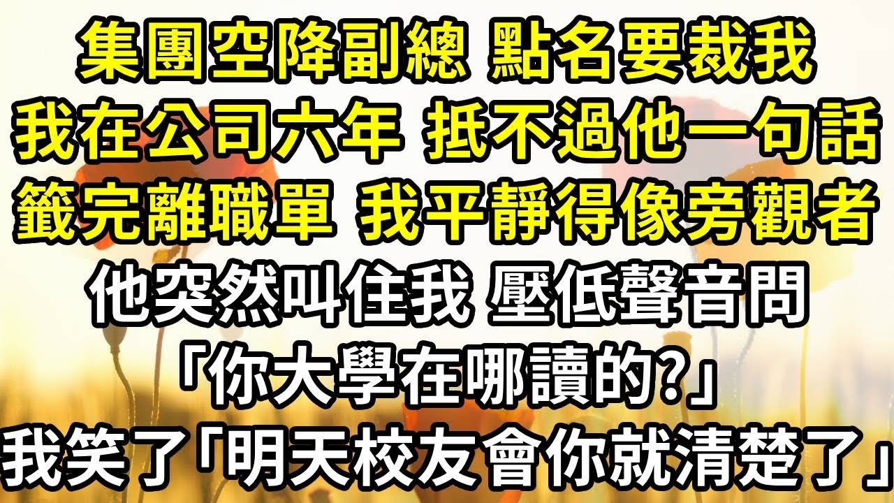 集團空降副總，點名要裁我，我在公司六年，抵不過他一句話。籤完離職單，我平靜得像旁觀者。他突然叫住我，壓低聲音問｢你大學在哪讀的?｣，我一笑｢明天校友會，你就清楚了｣