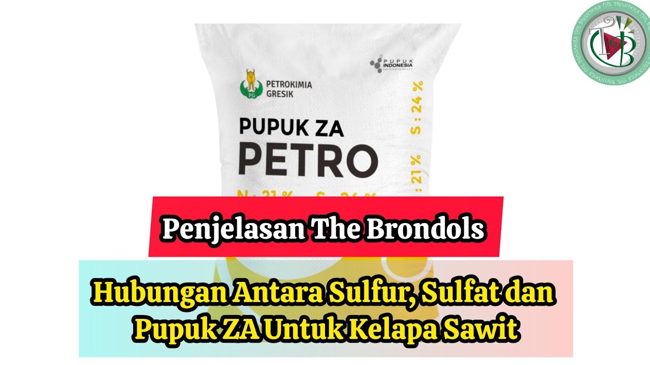 Penjelasan The Brondols: Hubungan Antara Sulfur, Sulfat dan Pupuk ZA Untuk Tanaman Kelaoa Sawit