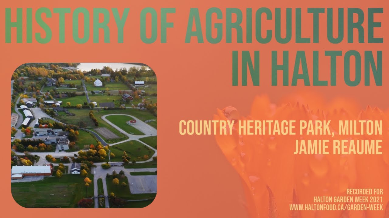 Country Heritage Park - property overview