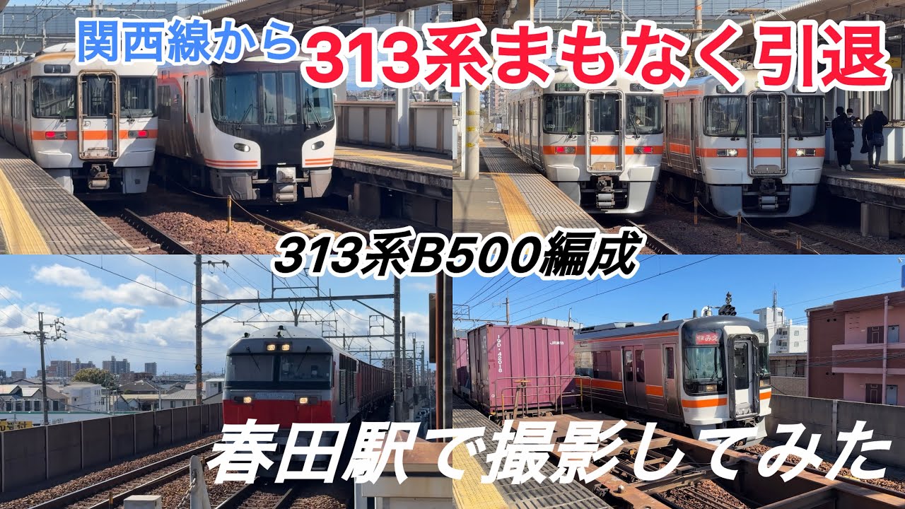 【見納め】313系が関西・武豊線から引退！順光狙って撮ってみた！