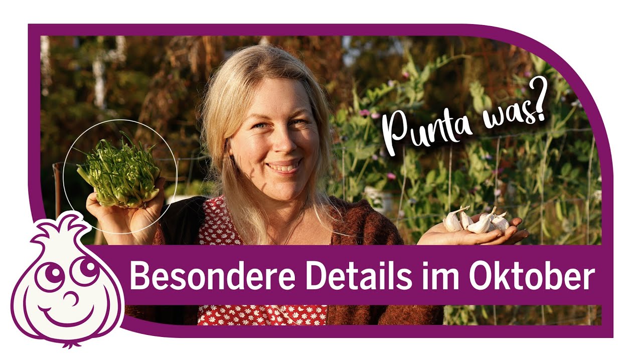 Neues Gemüse entdecken für die Vielfalt | Garten im Oktober