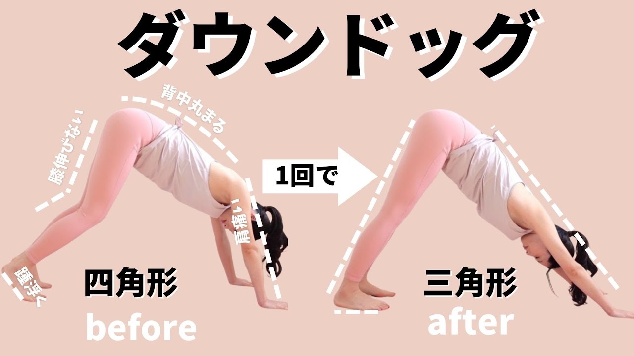 ダウンドッグができない人集まれ🐥一回でダウンドックを四角形から綺麗な三角形に！？体全身が柔らかくなる３段階ストレッチ