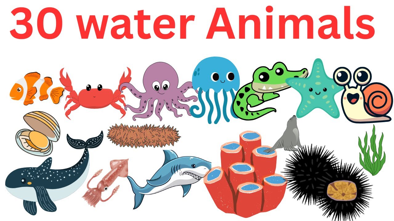30 water animals Name  ||  Learn Sea Animals with Sounds | Kids Ocean Learning & Marine Vocabulary