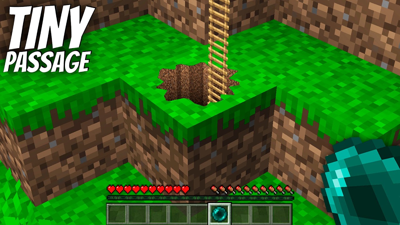 I found a TINY SECRET PASSAGE in Minecraft !