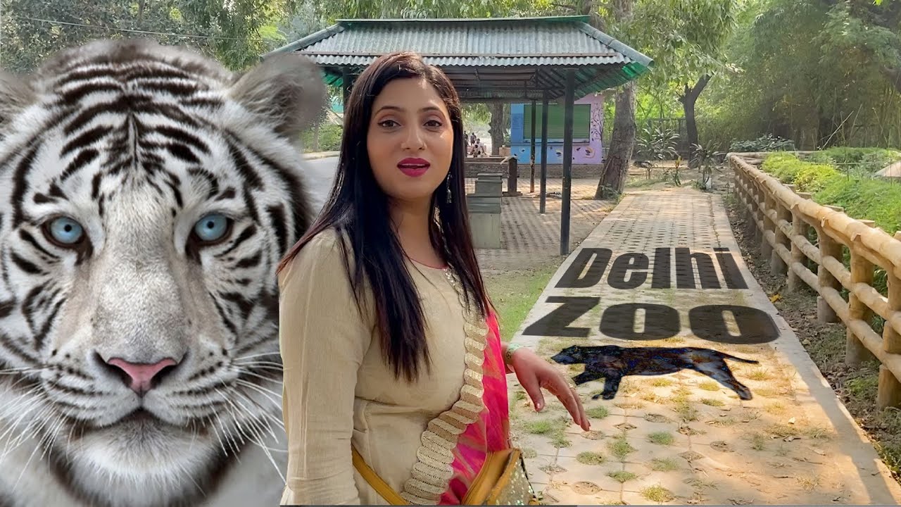 दिल्ली का चिड़ियाघर अब ऐसा हो गया है || Delhi Zoo Full Tour || delhi zoo video