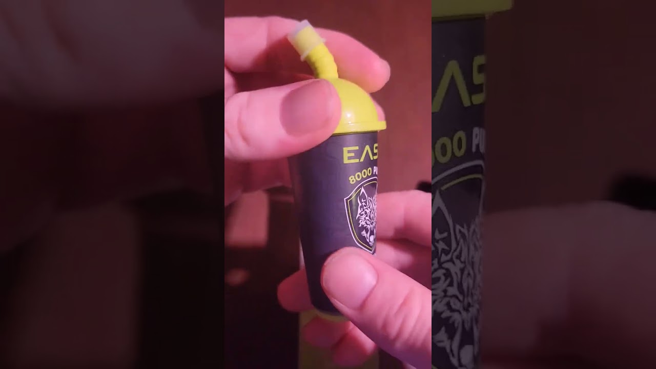 Best $10 Disposable 8000 Puffs #vape #asmr #disposable