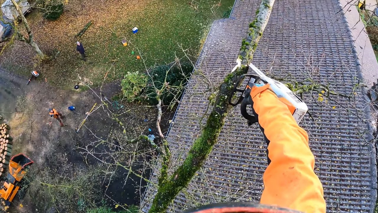 CHAUD POUR LE TOIT 😮/ DÉMONTAGE ET ÉLAGAGE